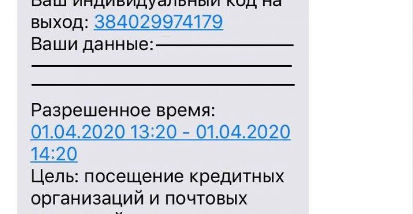 В Татарстане будут выпускать из дома по цифровому пропуску